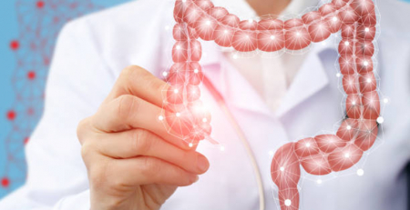 Dieta altera genética de bactérias do intestino tornando-o mais permeável a infeções