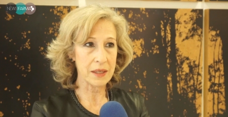 Obesidade infantil: especialistas reúnem-se em novembro para analisar “problema de Saúde Pública a nível mundial”