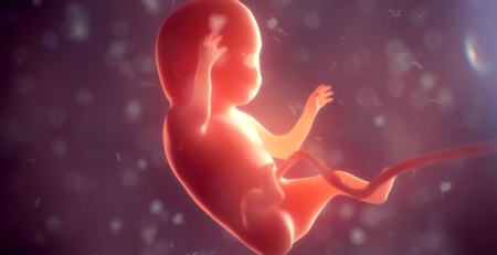 Transferência em diferido do embrião aumenta a probabilidade de gravidez em mulheres com obesidade
