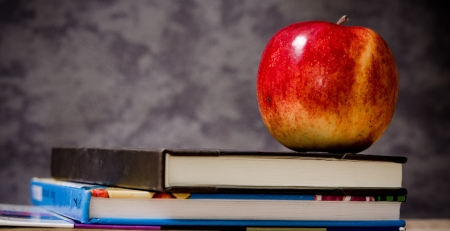 Nutricionistas recomendam refeições de ‘take-away’ completas e horários alargados nas cantinas escolares