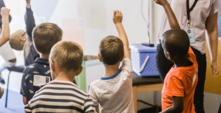 Ordem dos Nutricionistas saúda avanço da Lei da Publicidade mas lembra falta de profissionais nas escolas